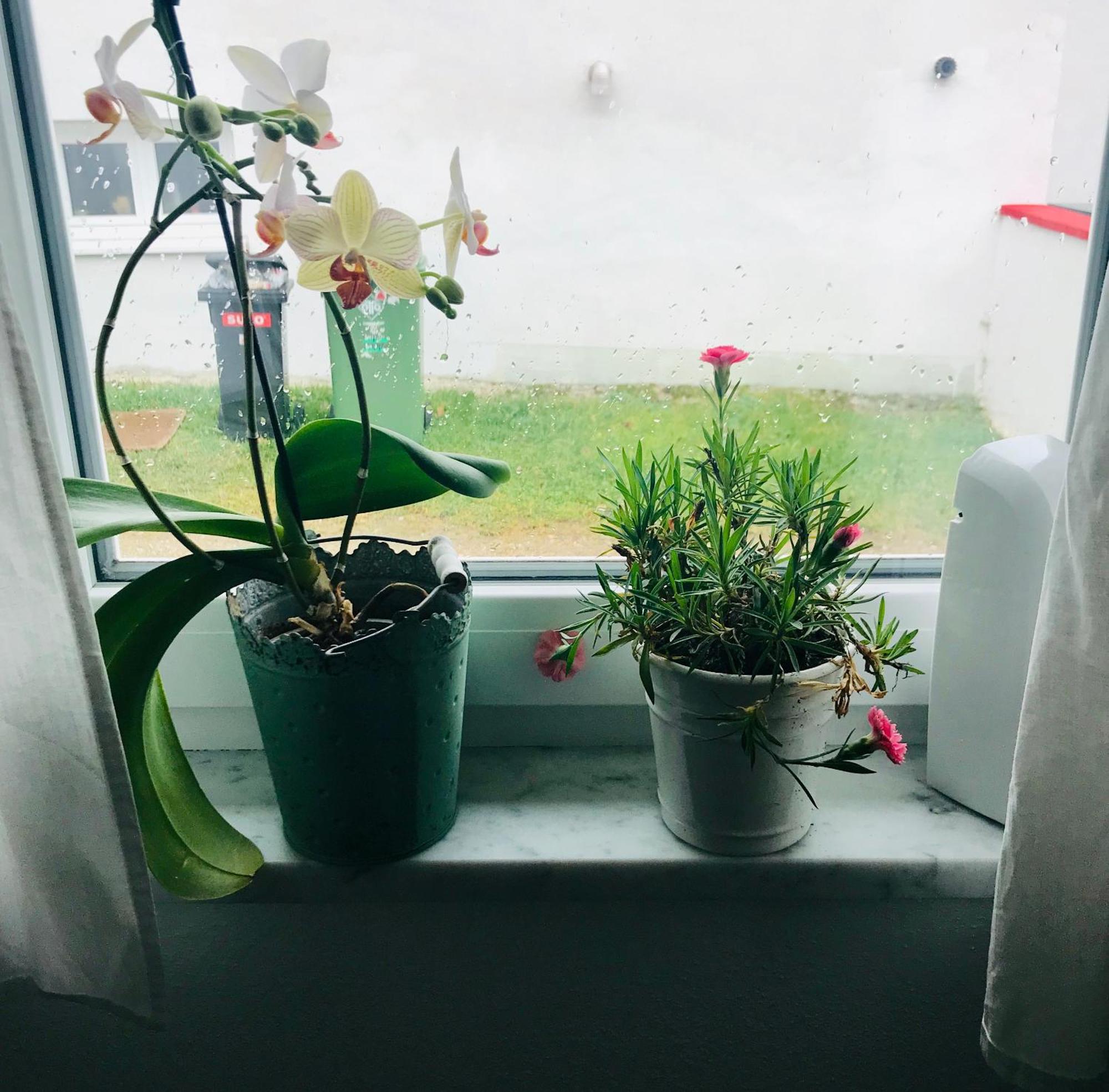 La Toskana Apartment Ihr Rueckzugsort Am Regen Zeitlarn Buitenkant foto